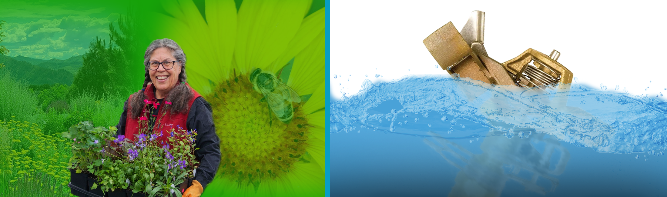 A showcase of garden in a box and slow the flow water conversation resources