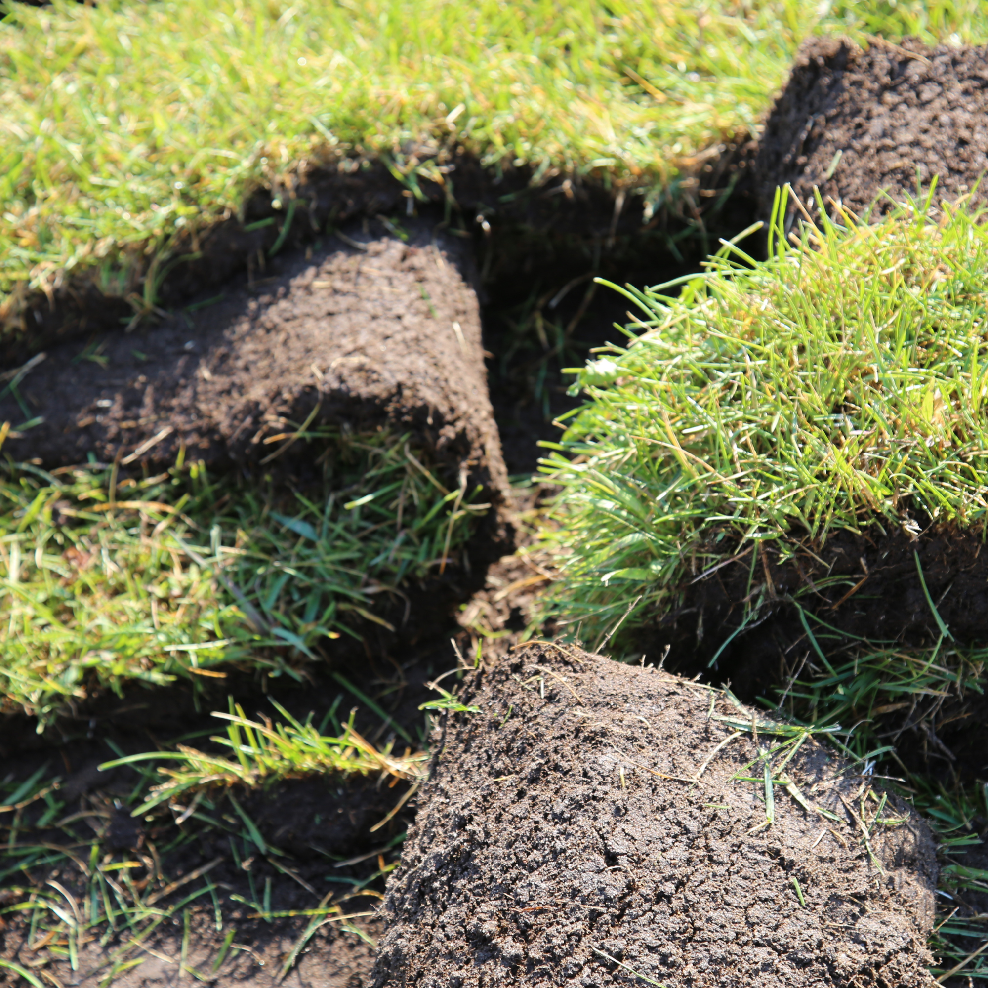 Pieces of grass sod with soil attached being lifted and stacked, showing the dark earth underneath a